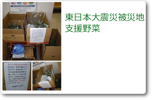 支援野菜