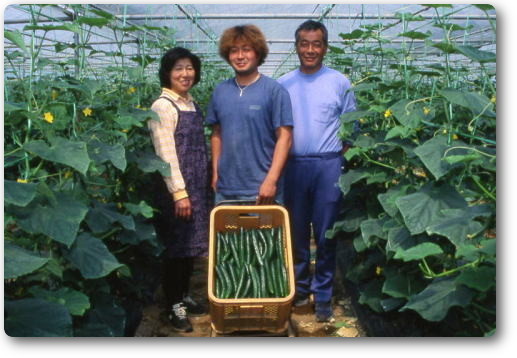 旭・伊藤幸輝一家・キュウリ
